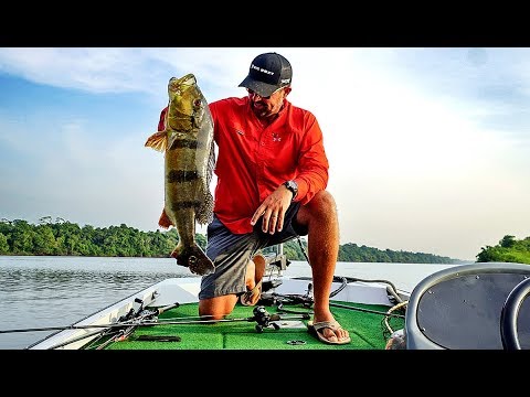 Team Favorite's Amazon Adventure Part Seven