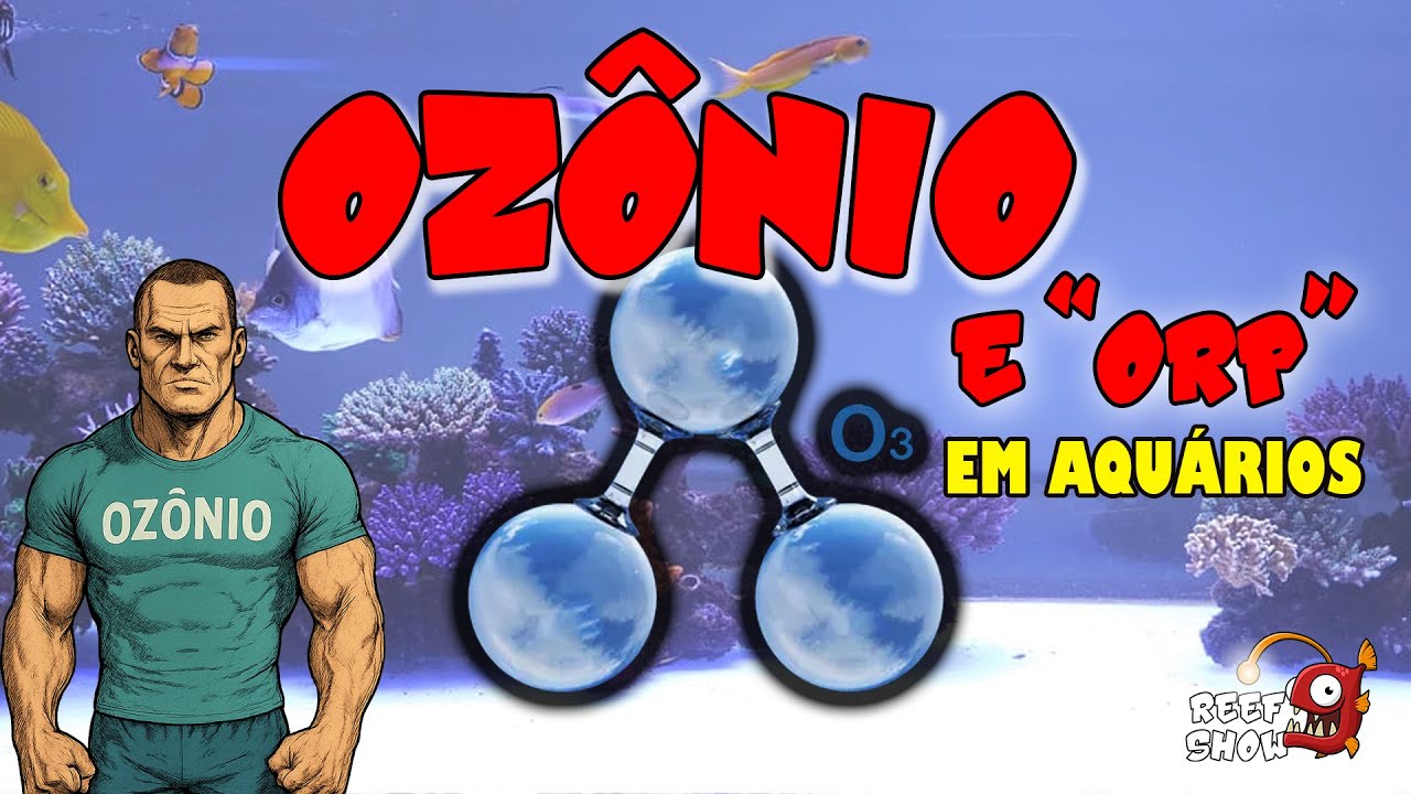 TUDO sobre OZÔNIO e ORP em AQUÁRIOS! (Parte1)