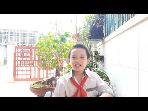 B1-1-07 Lê Minh Vũ - youtube