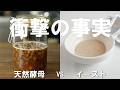 【紅麹事件から学ぶ】天然酵母とイースト、結局どっちが安全？間違いだらけの世間の認識をぶった切る！