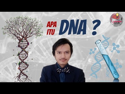 Video: Apa biomolekul DNA itu?