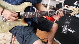 Demo PRS SE Custom 24 Trampas Green