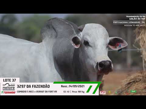 LOTE 37
