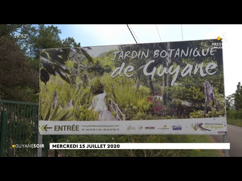 Vidéo: Exposition D'orchidées Au Jardin Botanique De Saint-Pétersbourg