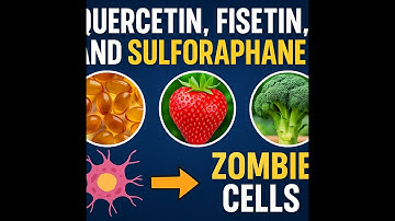Unlocking the Power of Quercetin, Fisetin, and Sulforaphane!