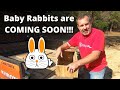 HOW TO Build Nesting Boxes | Meat Rabbits