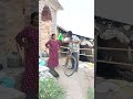 সুখ পাইলাম না#shorts#trending#youtubeshorts#rekha#sanjit#new#viral#funny #comedy#new video