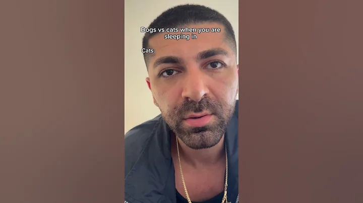 Video 10890751: cats dogs sleeping, cat vs dog