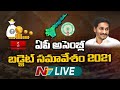 Live: AP Assembly Budget session