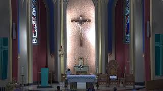 Fourteenth Wednesday in Ordinary Time Noon Mass
