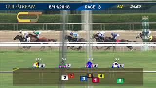 Gulfstream Park: August 11, 2018 Race 3