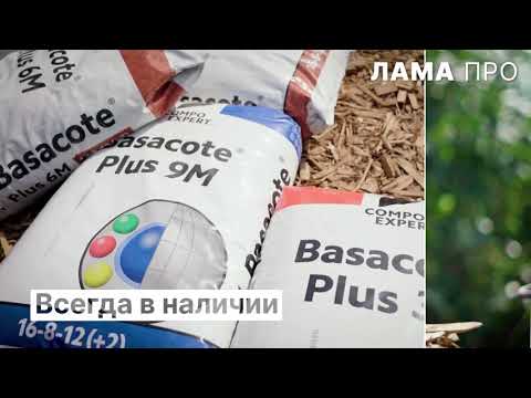 Рекламный ролик Лама Про