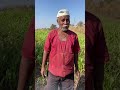आजोबा #exploremore #maharashtrianvlogs #comedy #marathi #vlog #trending #funny