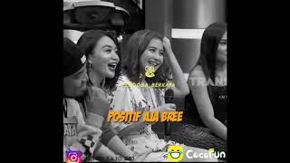 Komplikasi cocofun keren story whatsapp