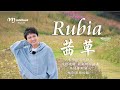 新歌 🌏周深 《Rubia 茜草》（中英）【動畫《渡塵》印象曲】 zhou shen  ♥ ♪♫*•