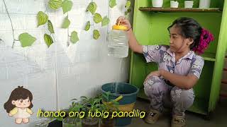 PERFORMANCE TASK IN EPP: Tamang pagtatanim at pagpupunla ng halaman