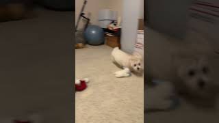 The Cover Pic Makes Her Look Like Superman