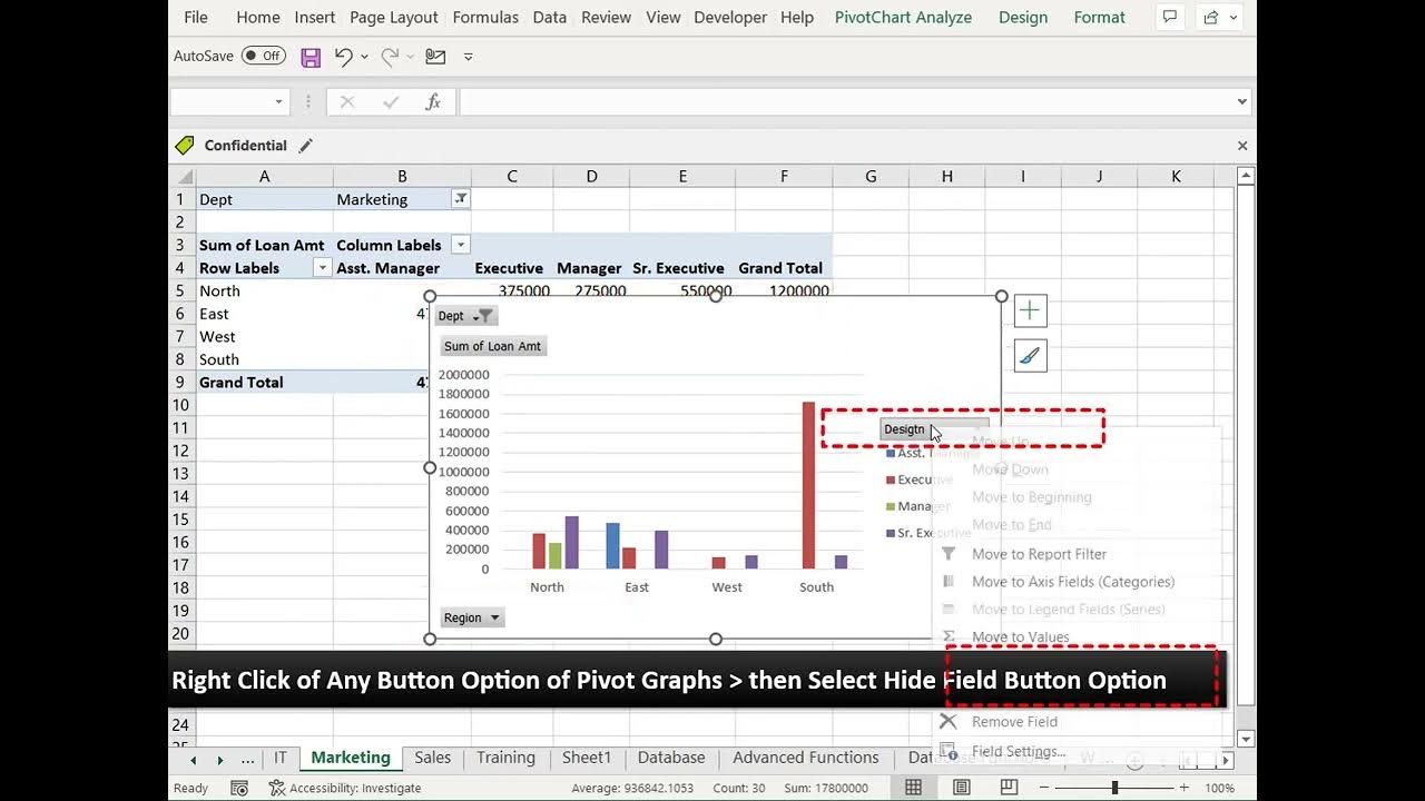 How to Hide Filter Button Option in Pivot Graphs? Excel Workbook 