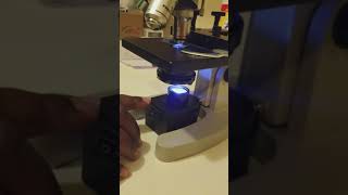Week 1 lab part 2 Identifying Microscope