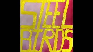 Watch Slow Pulp Steel Birds video