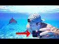 Tiburones vs GoPro