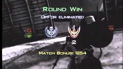 Some Private And Public Match Fun MW2