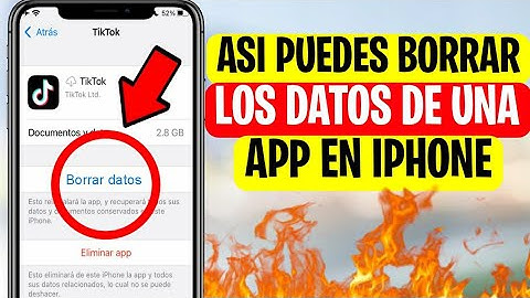 Como BORRAR los DATOS de Una APP en IPHONE