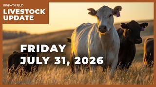 Cattle futures finish the week higher | Weekly Livestock Market Update