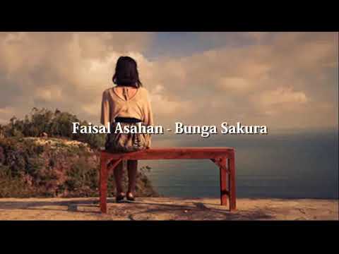 MALAYSIA ASAHAN  BUNGA  SAKURA  YouTube