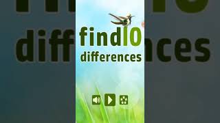 Find  10 differences screenshot 2