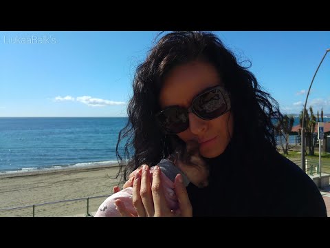 spend-the-day-out-in-the-beach-🏖️-with-my-beautiful-cat-shani-|-don-sphynx