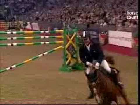 Showjumping- happy stallion jumping for joy at Olympia!