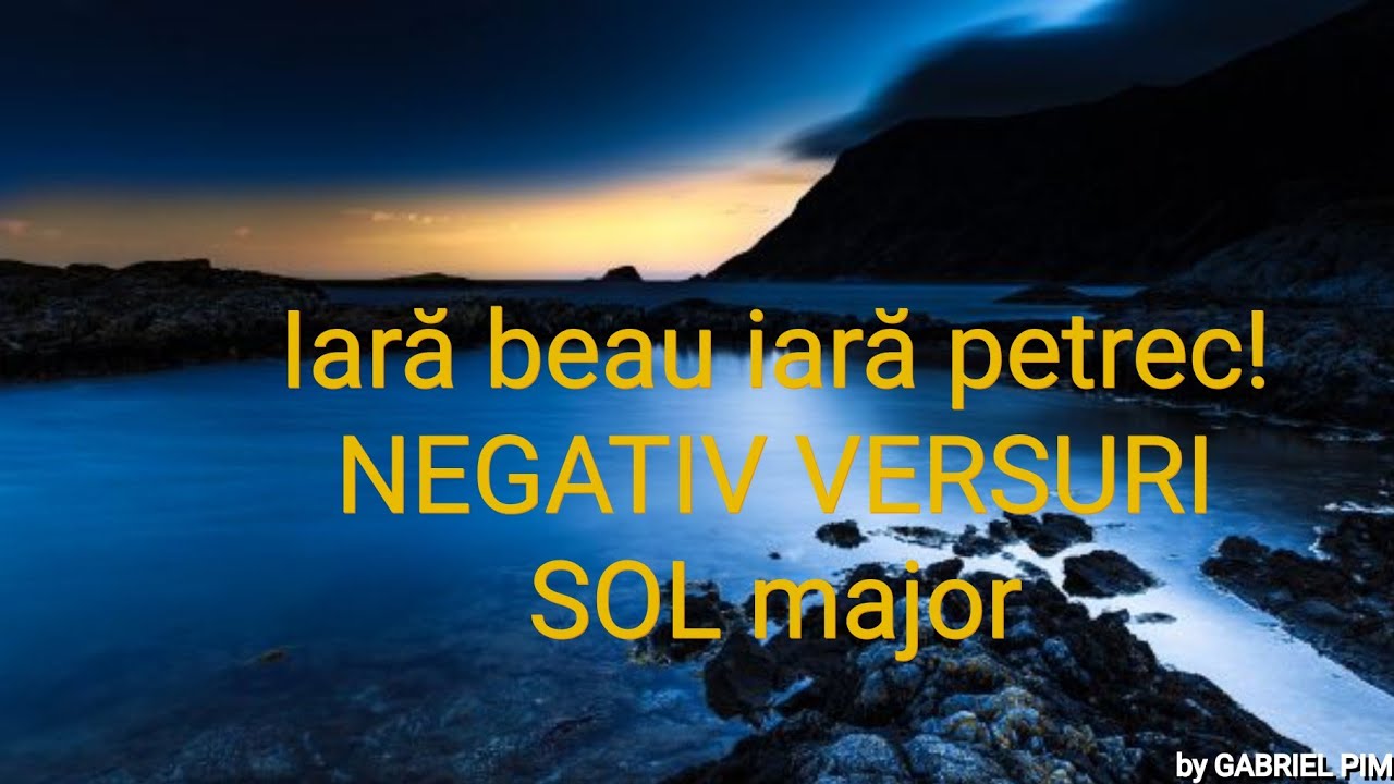 Iară beau, iară petrec! NEGATIV VERSURI SOL major! COVER