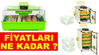 Kuluçka Makinesi Fiyatları | Kuluçka Makinesi Almadan İzleyin