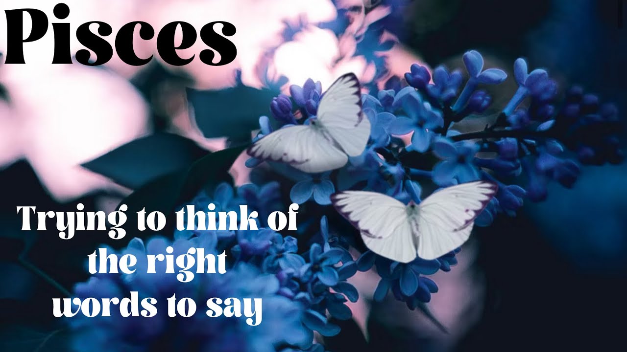 Pisces 💖💖 “I see the entire universe in your eyes.” 💖💖