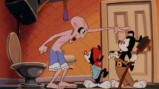 Animaniacs - The Monkey Song