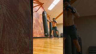 What You Want Is Out There #punchingbag #chosenones #boxer #masculinity #selfimprovement #boxing