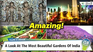 A Look At The Most Beautiful Gardens Of India
