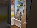 شقاوة اطفال شقاوة اطفال