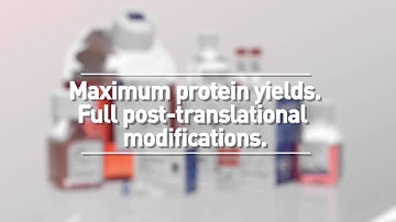 Expi293™ Expression System for Structural Biology Applications