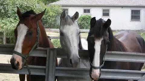 *i miss the sound of your voice*=