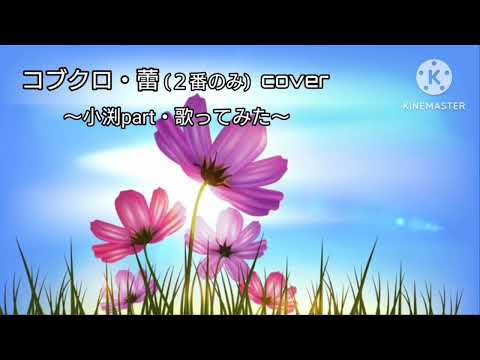 【蕾】コブクロ / カラオケ（小渕パート）