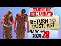  return to dust as examine the bible animated