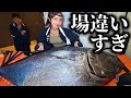 普通じゃない場所で100kgマグロを出した結果...