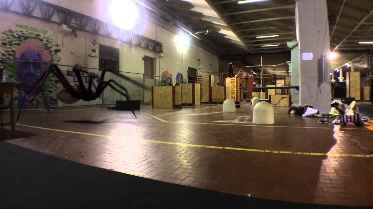 Parkour Frenzy - Eden spider