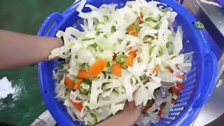 Salad Processing Line: Vegetables Cutting, Vegetable Cleaning/Washing & Drying Machine