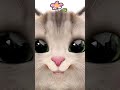 Mai kbhi harti nhi hu 😂🫣#catvideos#viralvideo#trendingreels#trendingshorts#funny#selfobessed#cute