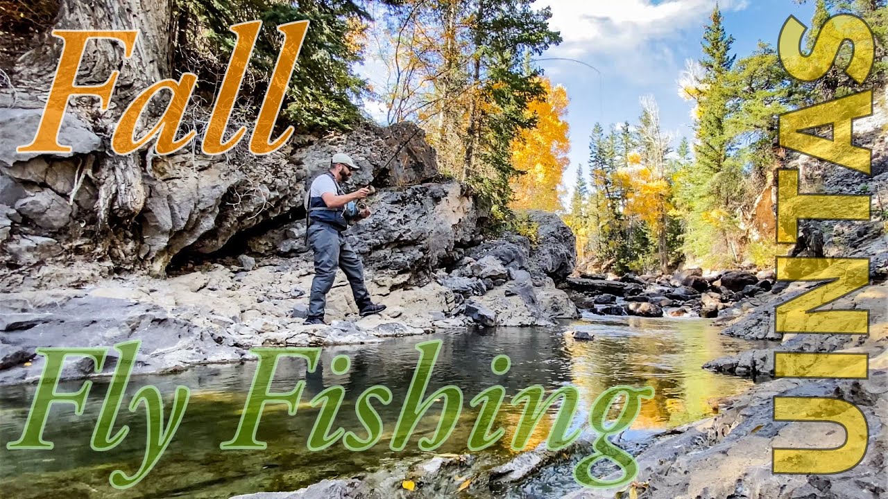 Fly Fishing Utah’s Uinta Mountains Brook Trout Stream Fall Colors 🍁🍃 YouTube