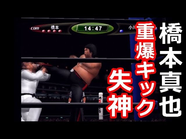 プロレスVS柔道 リベンジマッチ 橋本真也VS小川直也 1997年5月3日