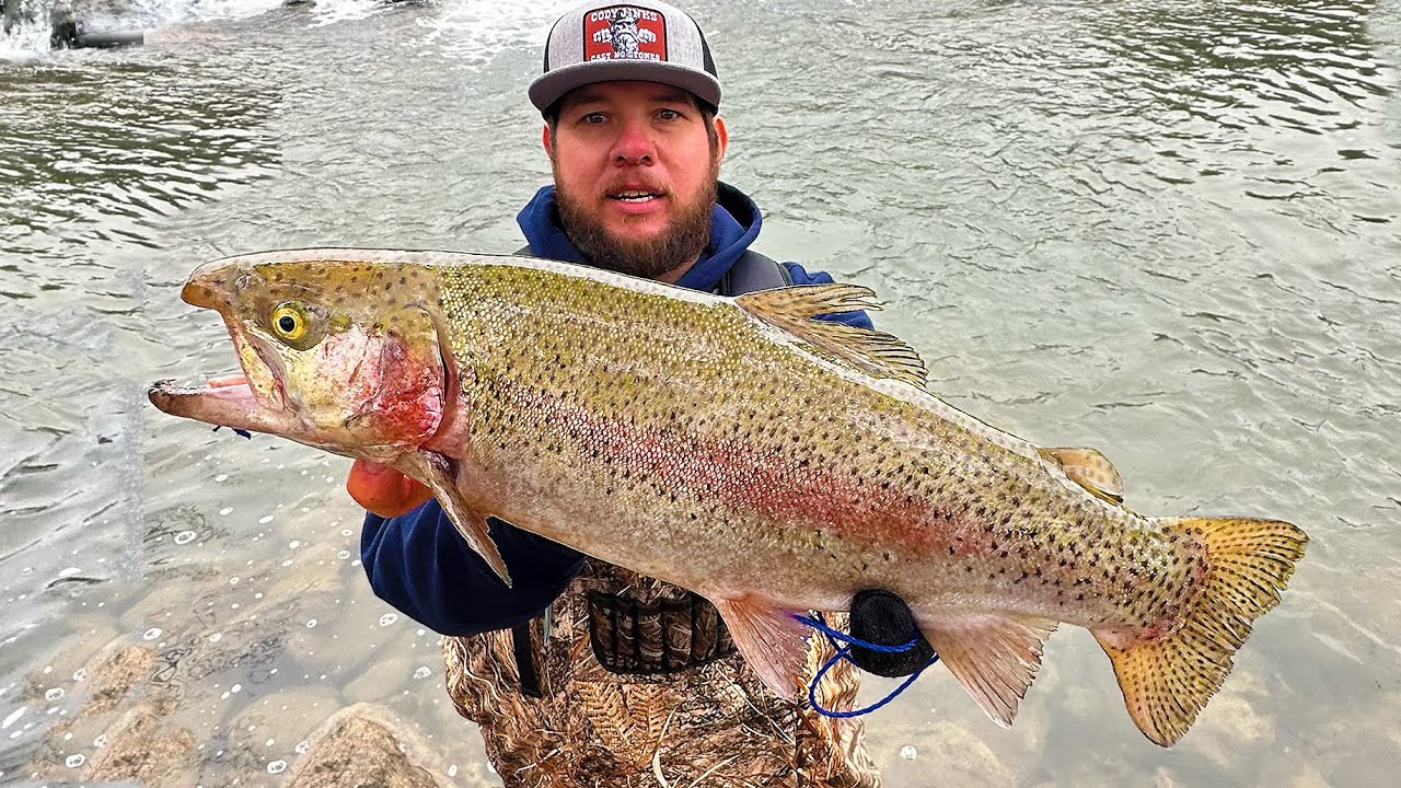 TROUT TOURNAMENT! MASSIVE TROUT on BLUE RIVER!! (New PB) #trout